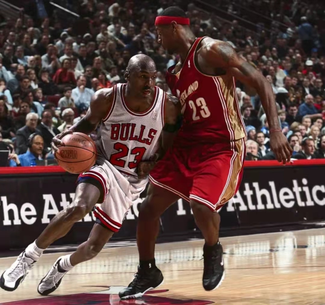 提供了宝贵 提供了宝贵